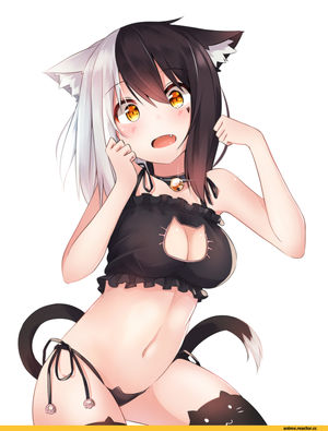 Cat girl porn anime Anime Hot
